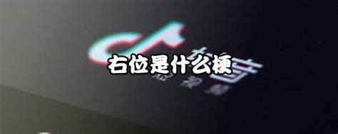 右位 意思|网络语右位是什么意思